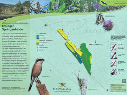 22-05-08 10-39-08 0753